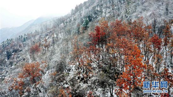 雪落秦岭 重峦茫茫