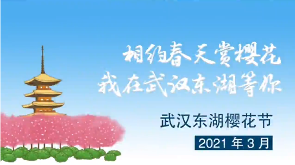 “我在武汉东湖等你！”张定宇邀请大家来武汉赏樱